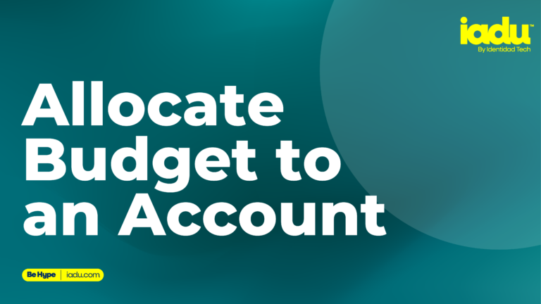 Allocate Budget to an account